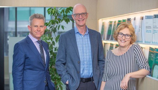 Law Commission 2025 Leadership